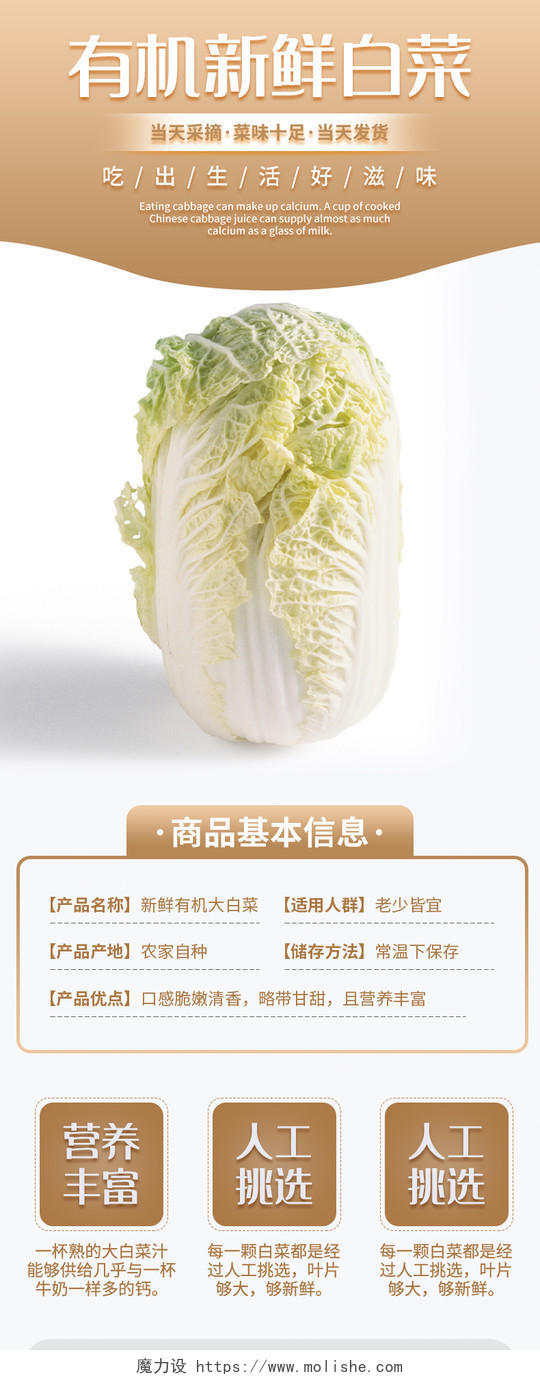 黄色简约有机新鲜白菜蔬菜生鲜大白菜详情页